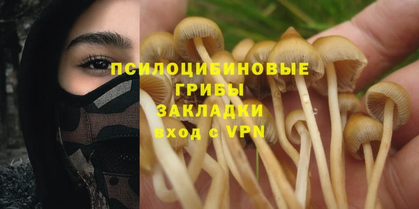 mix Армянск