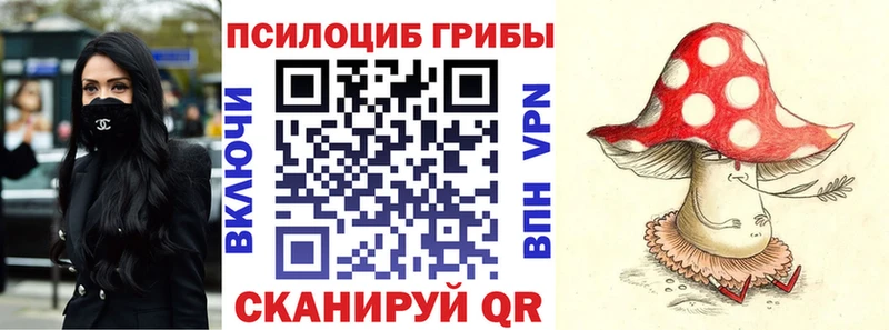 Галлюциногенные грибы Psilocybe  Уварово 